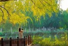 怎样知道足球比分-掌握足球比分动态,全方位指南助你秒变赛场通